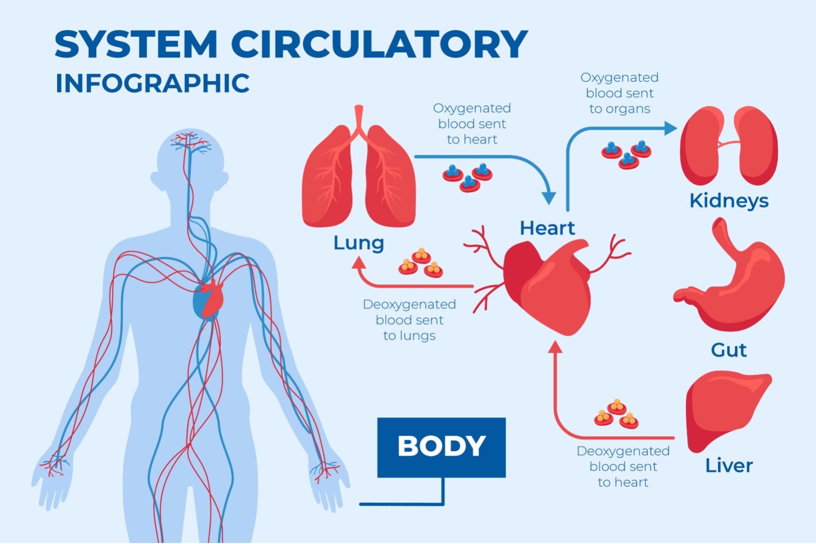 How Anxiety Can Create Circulation Problems