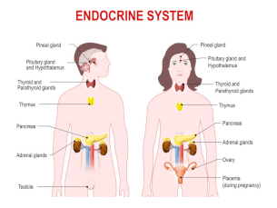 The Effects of Anxiety on the Endocrine System